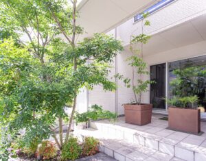 【外からの視線を遮りたい！ ~植栽編~】