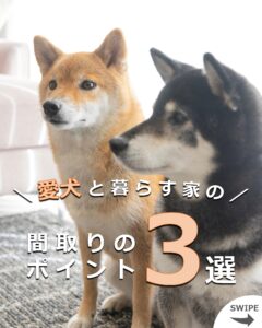 ＼＼ 愛犬と暮らす家の間取りのポイント3選 ／／