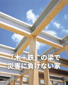 木と鉄を融合し バランスのとれた強い構造